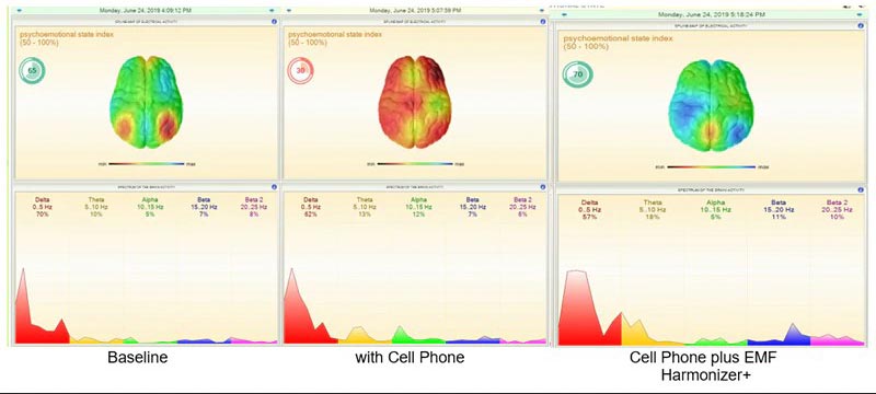 Research Says about Emf Harmony