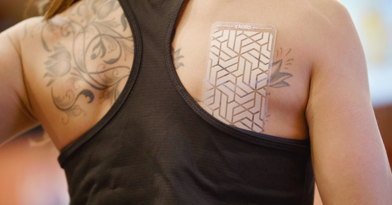 kailo pain patch placement