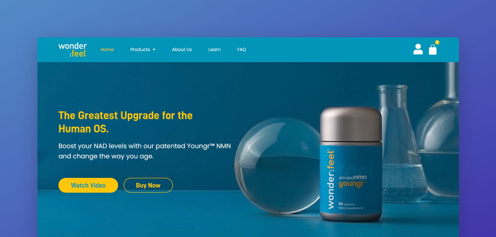 wonderfeel website screenshot