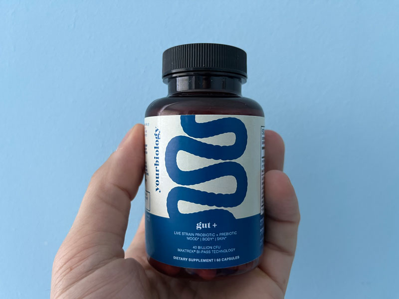 yourbiology gut in hand