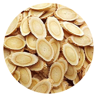 Astragalus Root