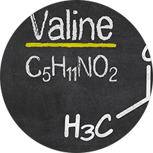 l-valine